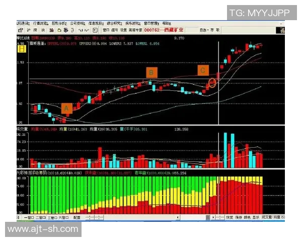 深入分析上海羽毛球队反击战术的独特魅力与实战应用