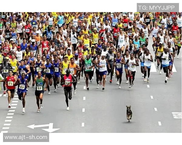 香港运动员在国际赛场崭露头角 展现拼搏精神与竞技实力