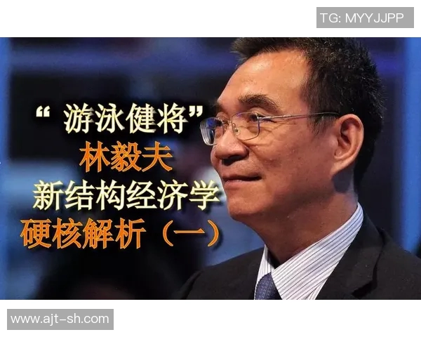 高效游泳训练计划解析提升技术与耐力的综合方法